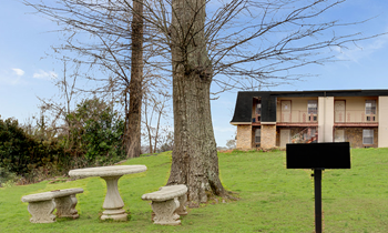 Bbq/picnic area